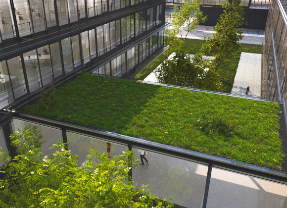 A sustainable green office building with a green roof